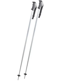 Carve Alu Fix Silver skistokken unisex