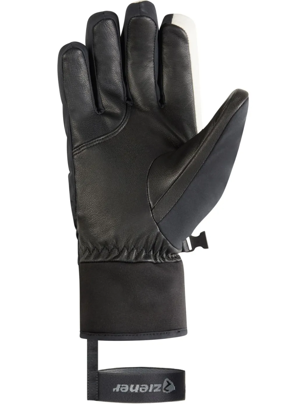 Ginos-Z GTX PR skihandschoenen heren