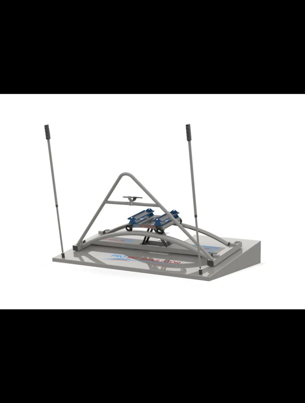 Professional Ski Simulator skisimulator